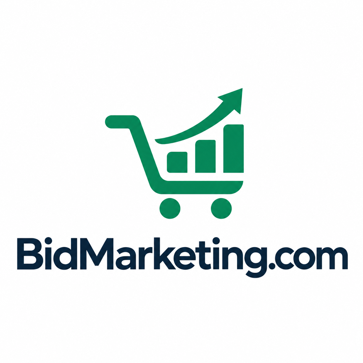BidMarketing.com domain name artwork